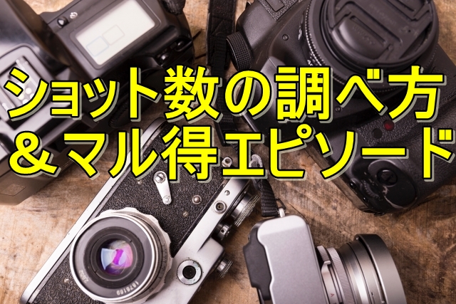 【カメラのショット数】シャッター回数の調べ方。(更新版) ebay輸出,カメラ転売においては超必須。